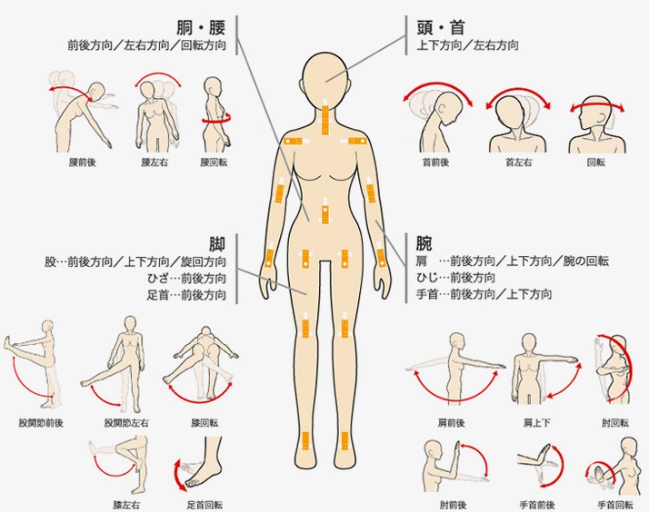 sex-doll-joint-pose