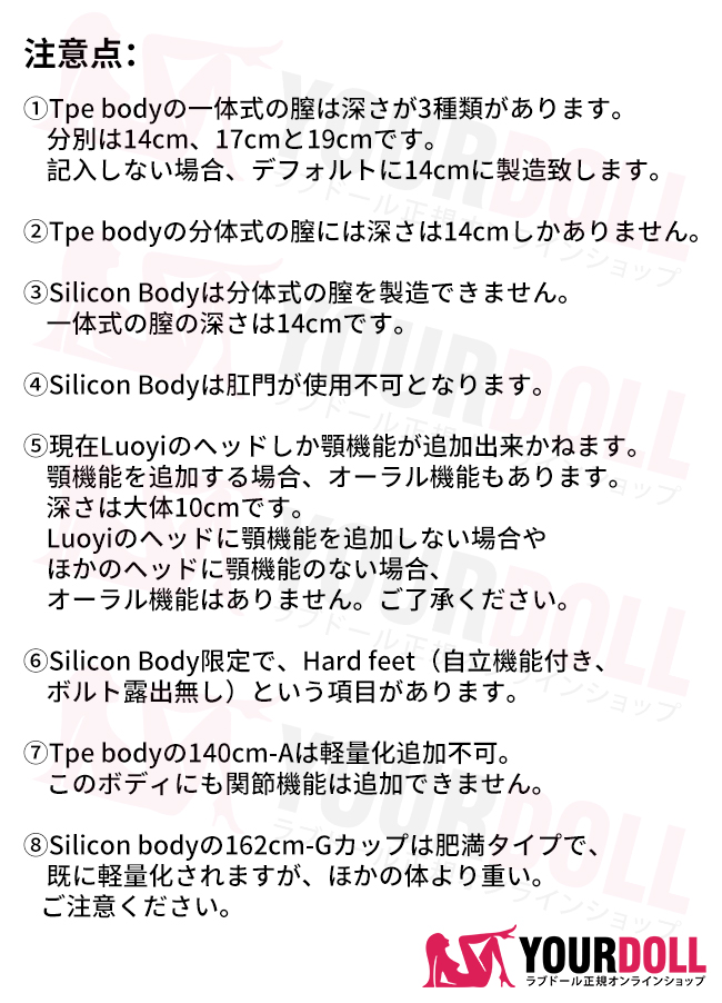 shedoll-Introduction-1-2
