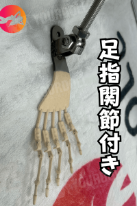 With toe joints
