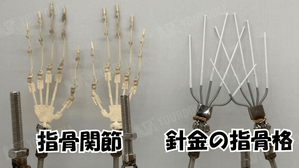 finger joints -1